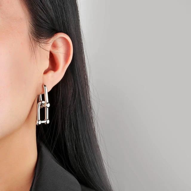 Detachable U Link Earrings